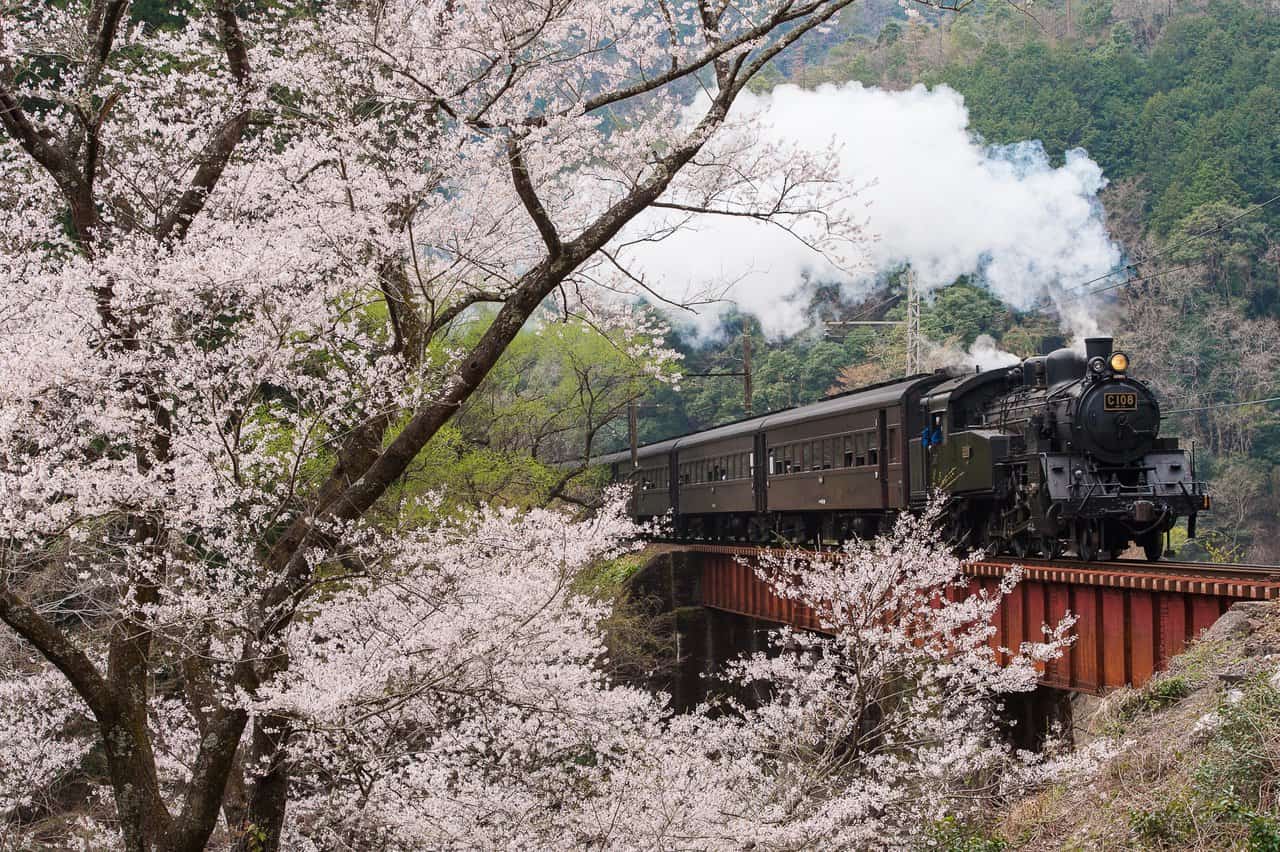 Thomas the Tank Engine in Shizuoka!
