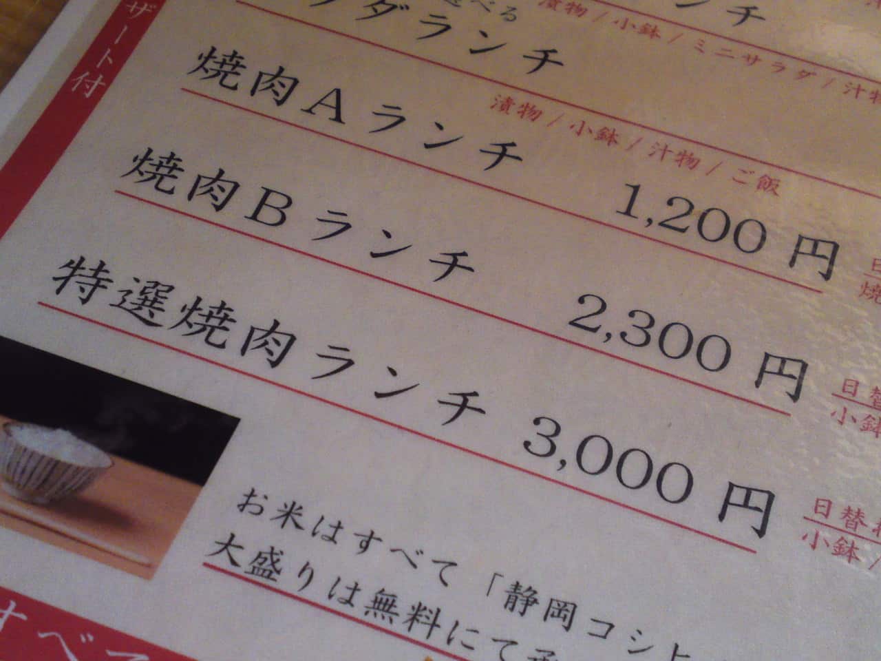 wagyu beef, Sunpu No Nikudokoro, restaurant, Shizuoka