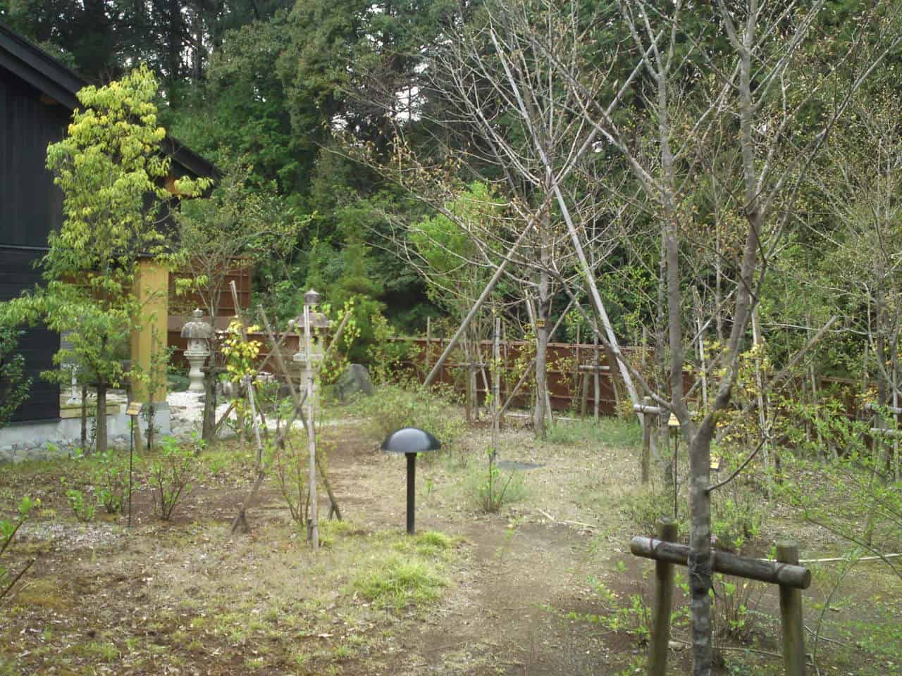 hot spring, Itawari No Yuu, Shimada, cheap, shizuoka