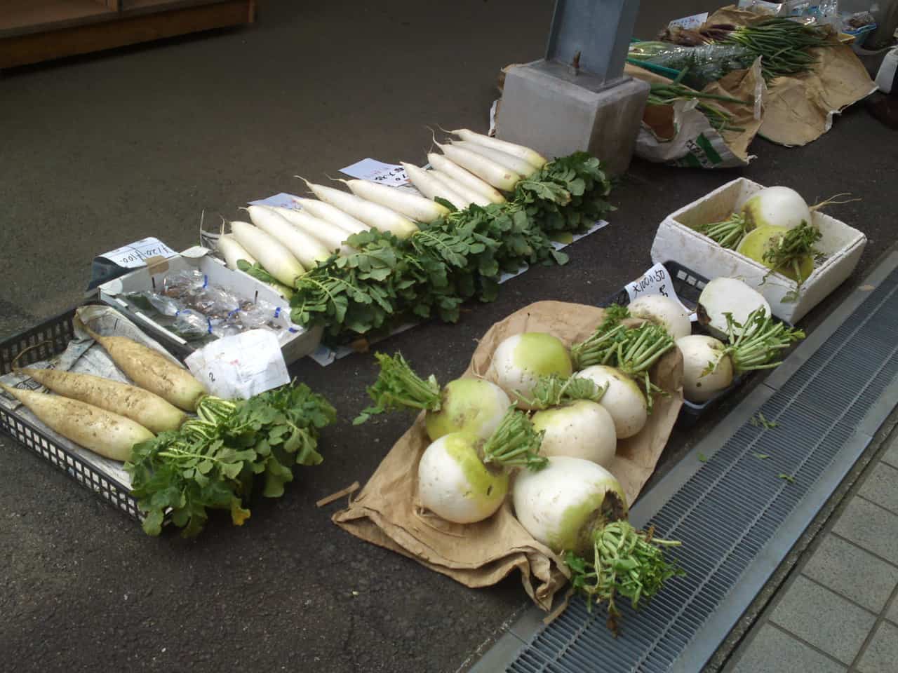 Orache & Windy Valley Beer in Kannami, Mishima, craft beer, shizuoka