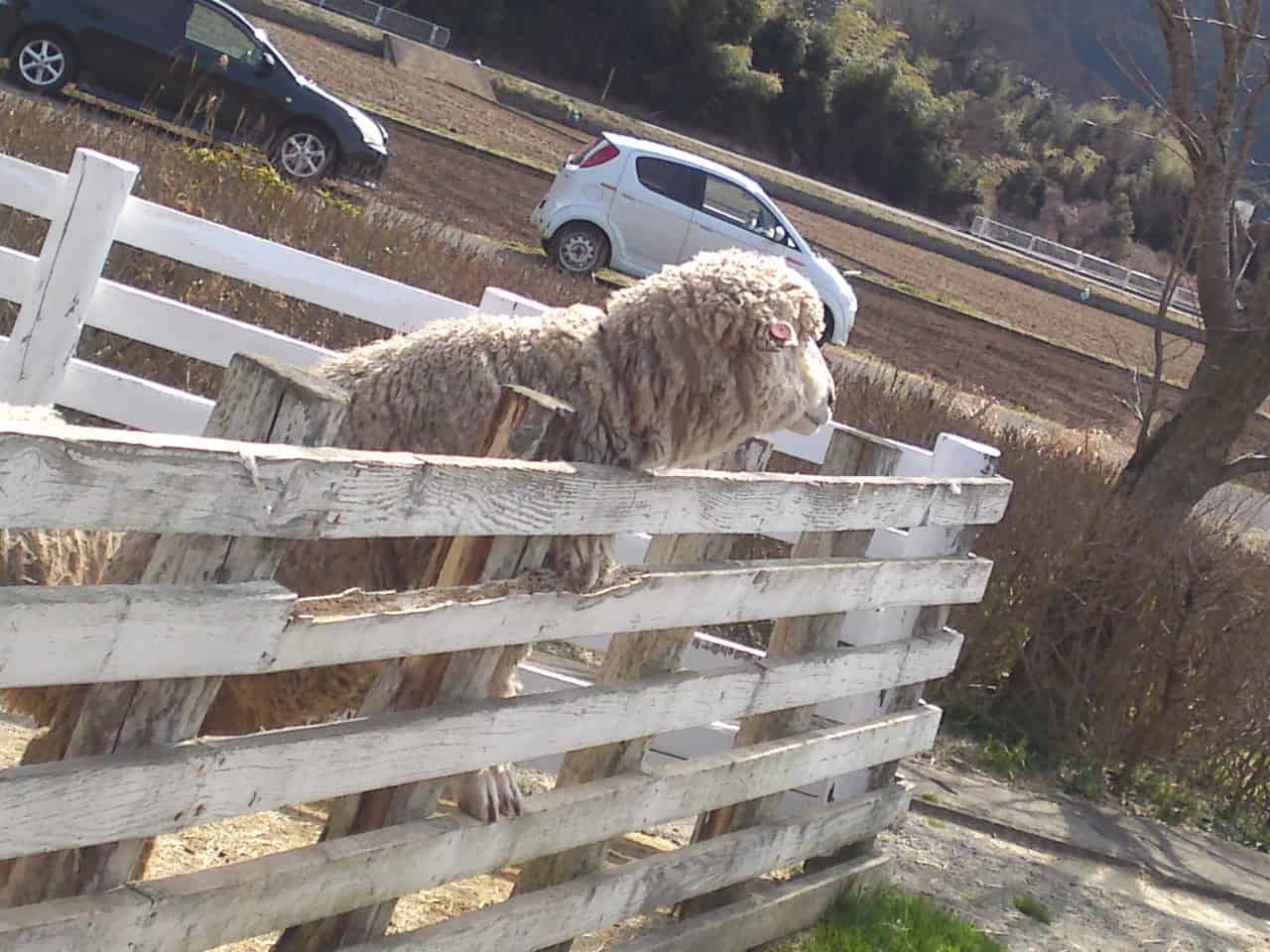 Orache & Windy Valley Beer in Kannami, Mishima, craft beer, shizuoka