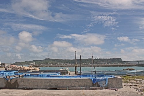 A local view of Okinawa