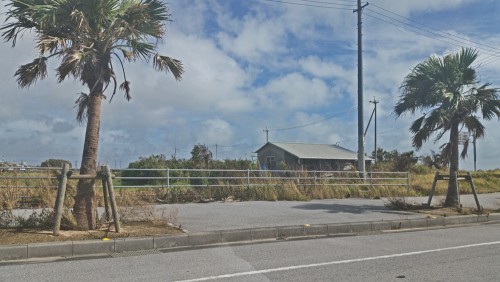 A local road view of Okinawa