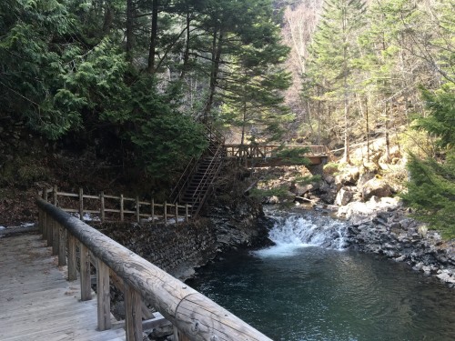 Hiking path in Norikura