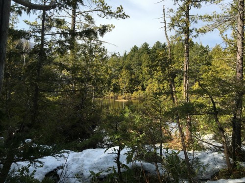 Norikura Kogen in Nagano