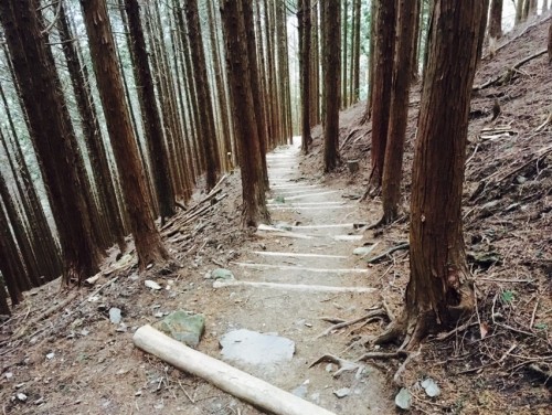 Mt. Hiei Hiking Trail Kyoto Prefecture Shiga Nature Lake Biwa View Enryaku-ji Temple 