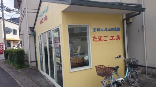 Mt. Hiei Hiking Trail Kyoto Prefecture Shiga Nature Lake Biwa View Enryaku-ji Temple 