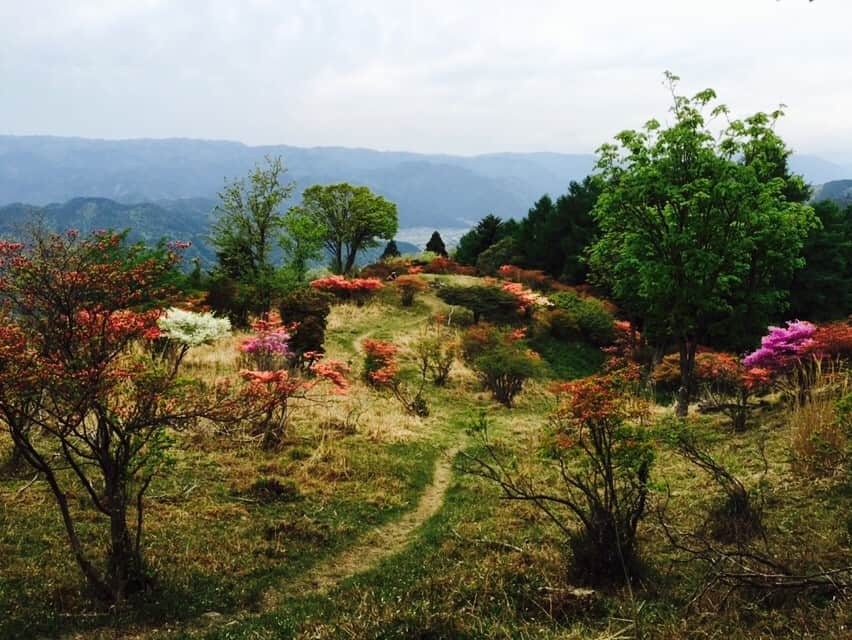 Hike from Shugakuin to Mount Hiei and Enryaku-ji Temple