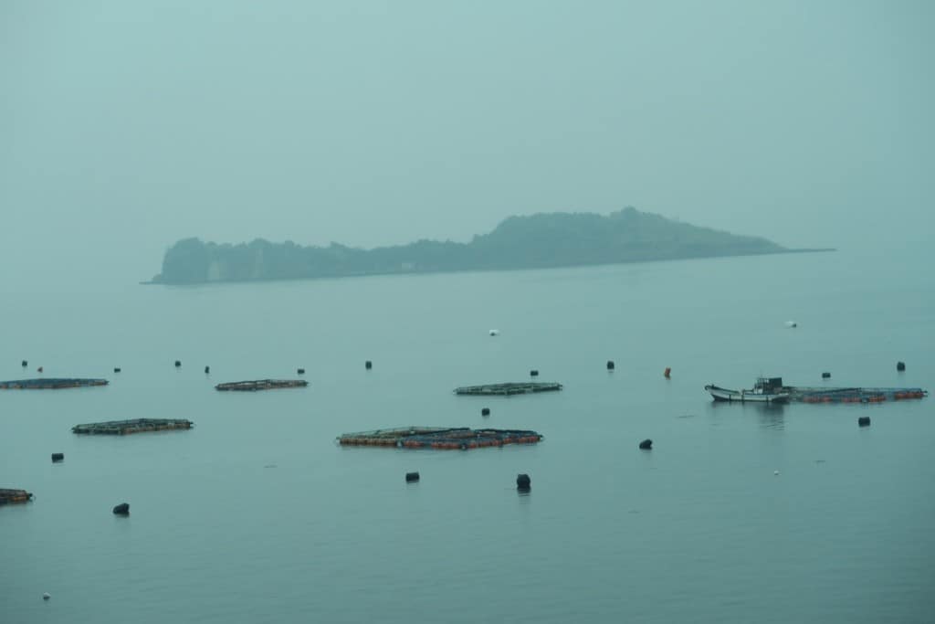 Discover Sakurajima Island by Long Island Bus Tour