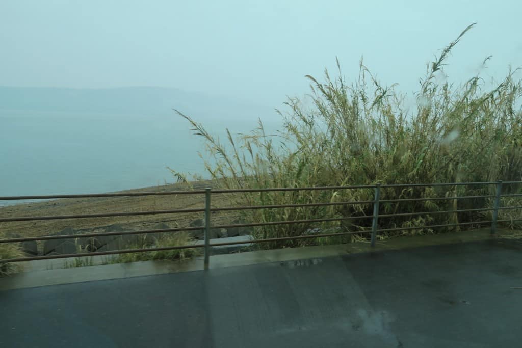 Discover Sakurajima Island by Long Island Bus Tour