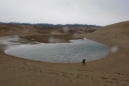 Tottori sand dune would be a prefect place for hiking and nature lovers!