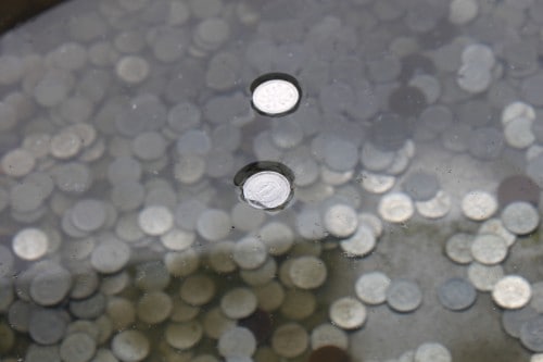 Penny Fortune Close Up