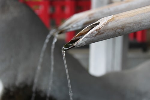 Water to Purify Hachimangu