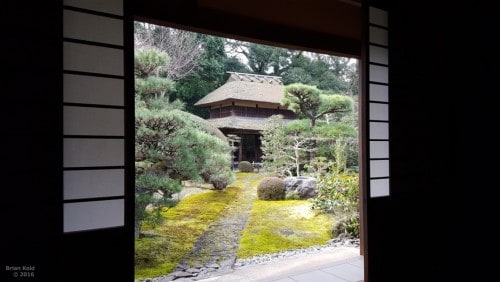 Enjoying a Zen Tea Ceremony in A Temple