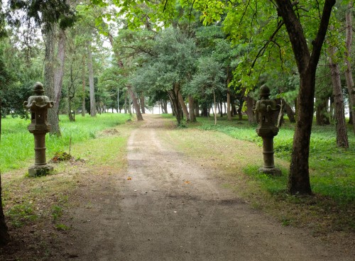 we walk on the trail on the sandbar