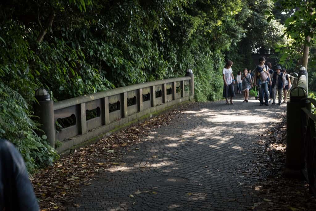Great views from a walking route in Enoshima