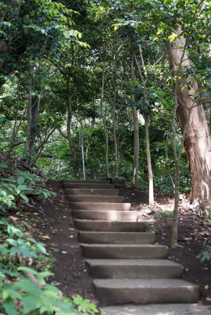 Peaceful temple in Kamakura: Ryukoji