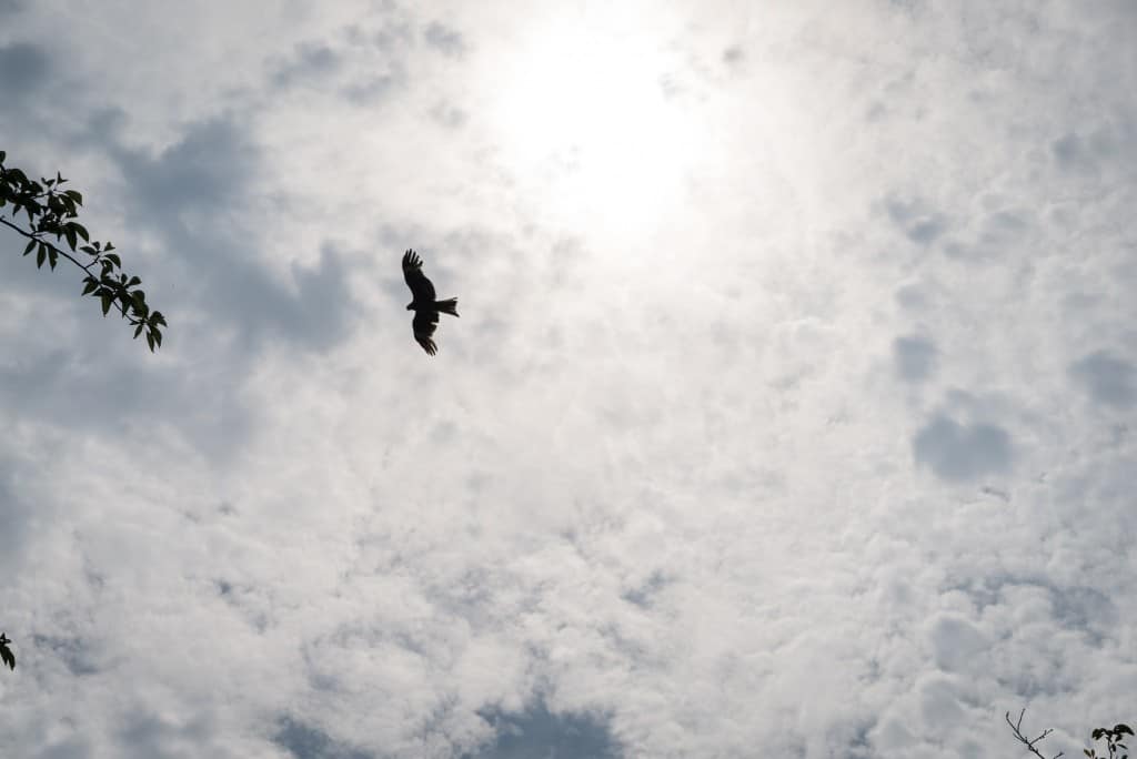 Peaceful temple in Kamakura: Ryukoji