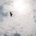 Peaceful temple in Kamakura: Ryukoji