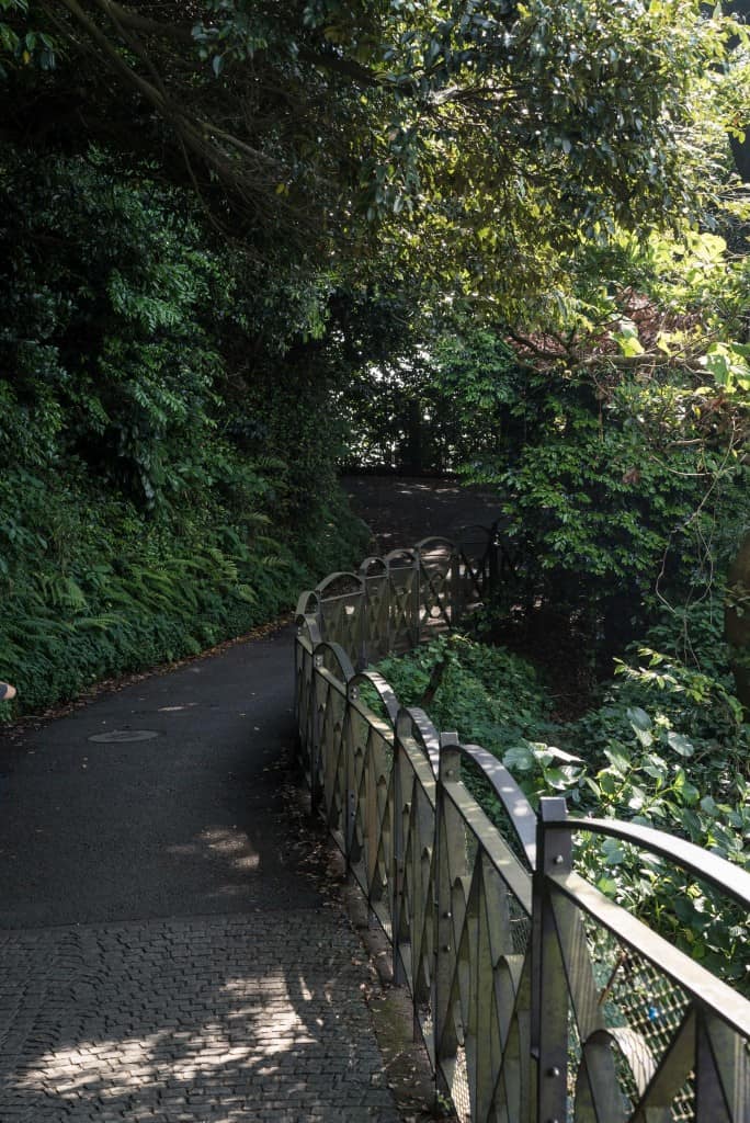 Great views from a walking route in Enoshima