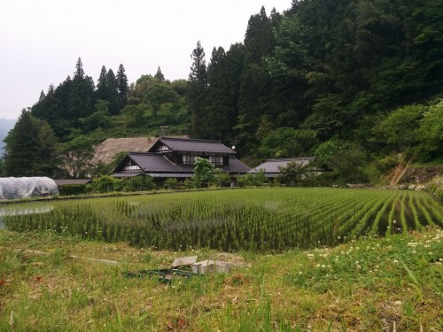 hiking road at Kiso Valley