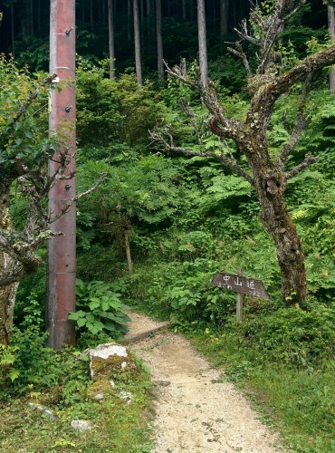Nakasendo, Kiso Valley