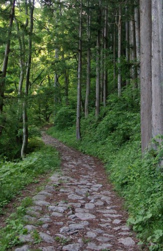 Nakasendo - the original pebble stone paving that ran the length of the hwy.