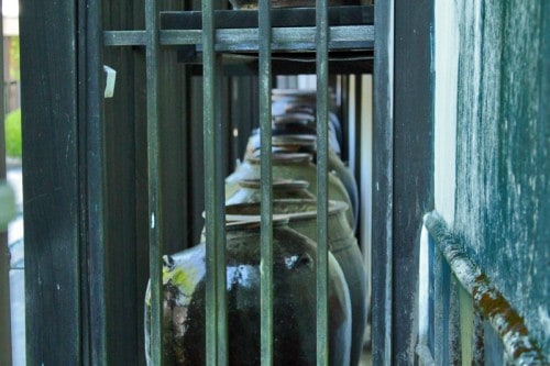 the Chin Yukan kiln is hidden behind a green scenery of trees in Kagoshima