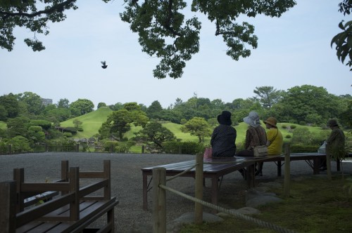Leisure as usual in Suizenji Park