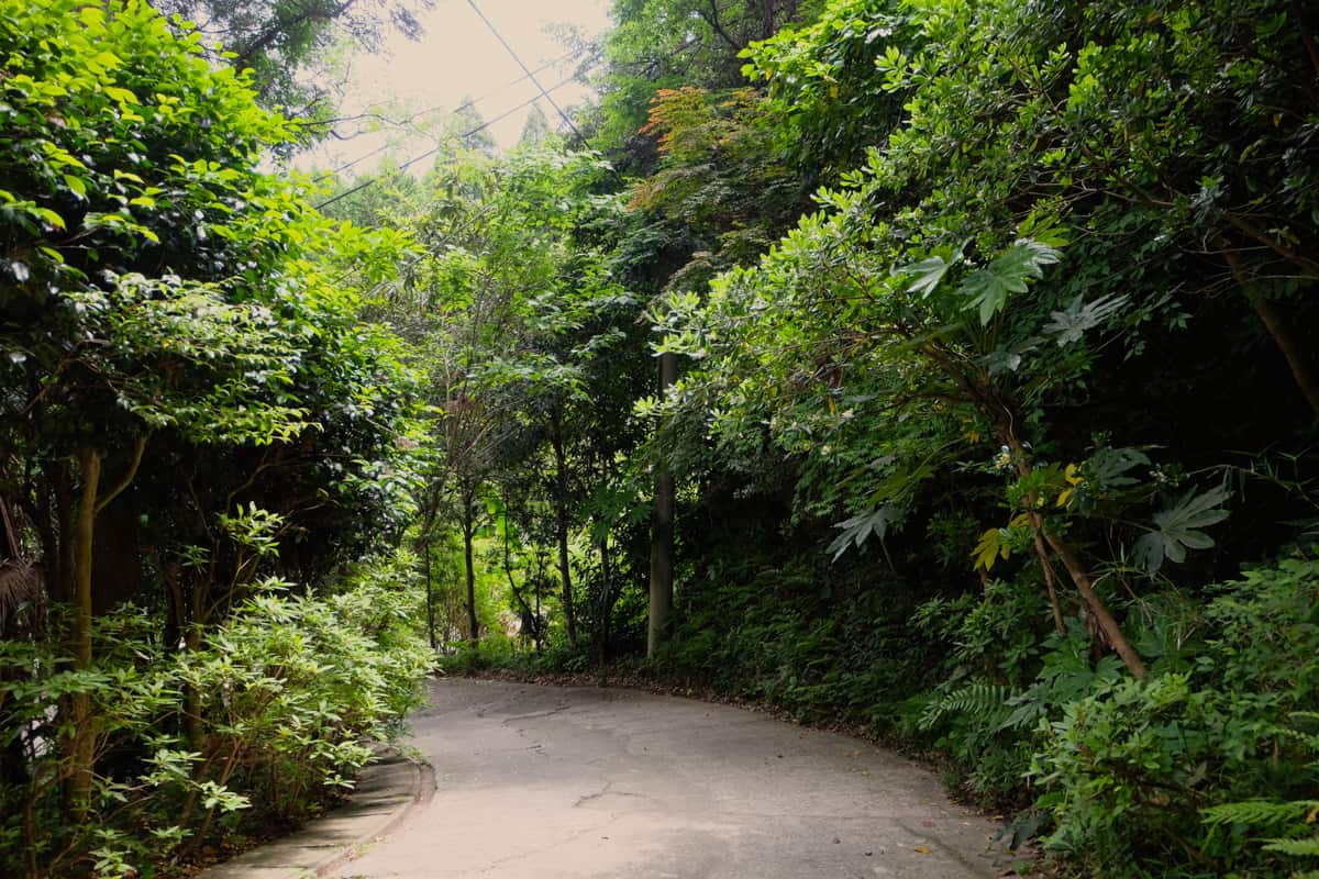 The Nakadaki Art Village Beach Camping Hiking Outdoor Activities Chiba Prefecture Near Tokyo