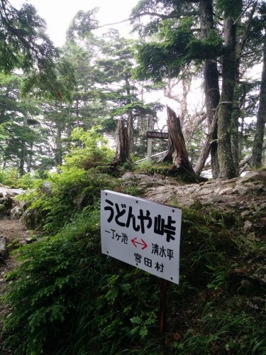 Udonya - not an udon shop unfortunately.