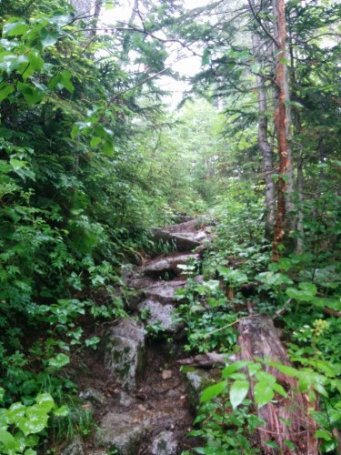 Mount Kisokoma, the trail gets steeper