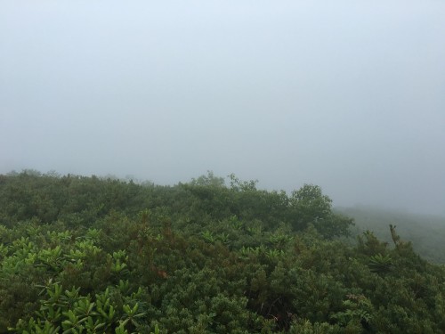 Reaching the summit, this is the view