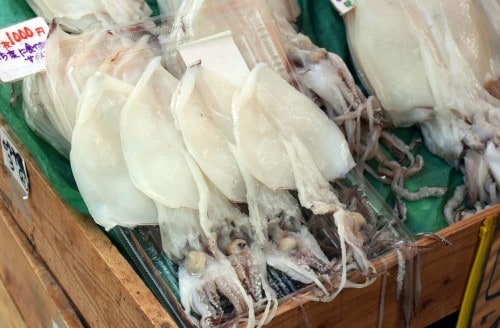 yobuko morning market