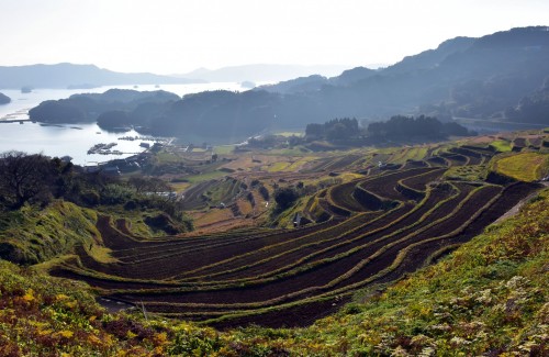 Oura no Tanada, terraced rice field