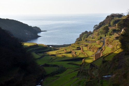 Terraced Rice Fields in Saga, Stunningly Beautiful Views of Japanese Nature
