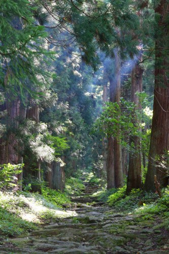 Hiking trail to Kosuge Shrine