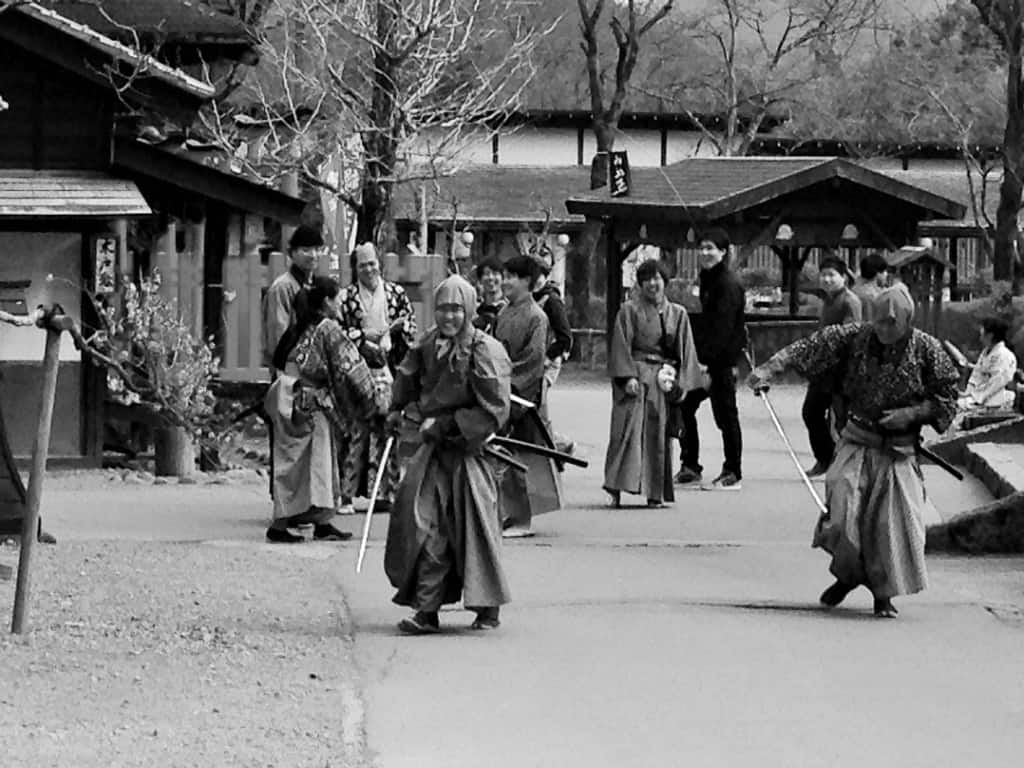 Nikko theme park actors and guests