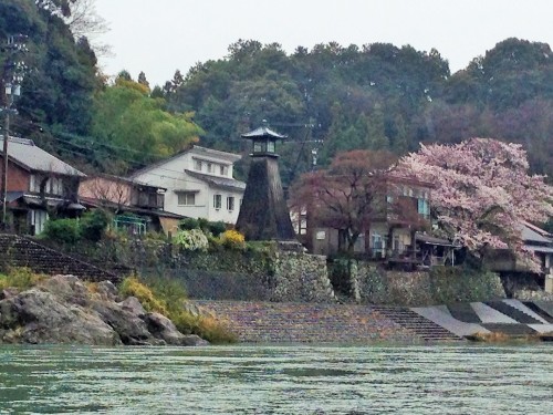 The Kawaminato lighthouse with cherry blossom trees along Nagara river