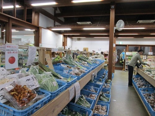 A short time later I came to the Michi no Eki farmer’s market. It was chock full of locally grown fruits and vegetables, fresh flowers, local handicrafts, and plenty of other gifts.