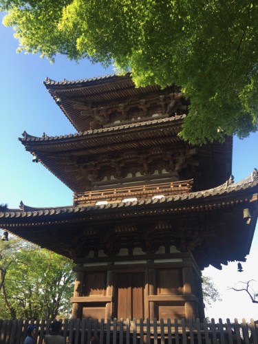Sankeien Pagoda in Yokohama