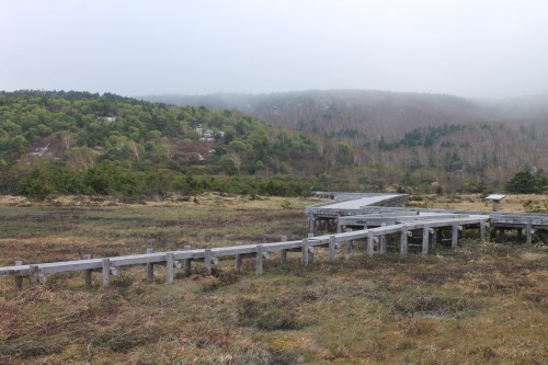 Jododaira marshland near Mount Azuma, Fukushima, Japan.