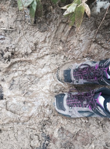 Waterproof hiking shoes