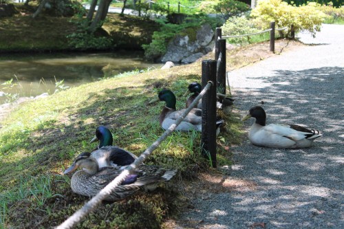 Jorakuen Japanese Garden, Fukushima, Japan.