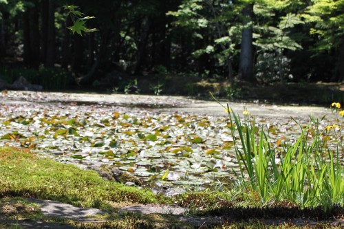 A View of the Pond at Jorakuen, Fukushima, Japan.