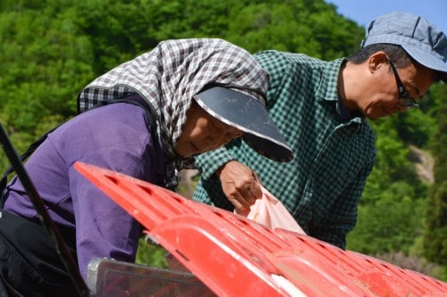 Farm Hats to Protect Faces from the Sun during Planting