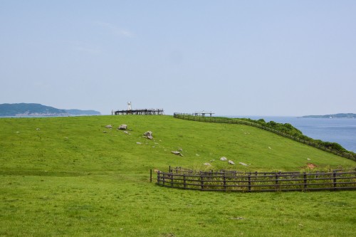the Suginohara Farm faces the Genkai sea in Karatsu city.