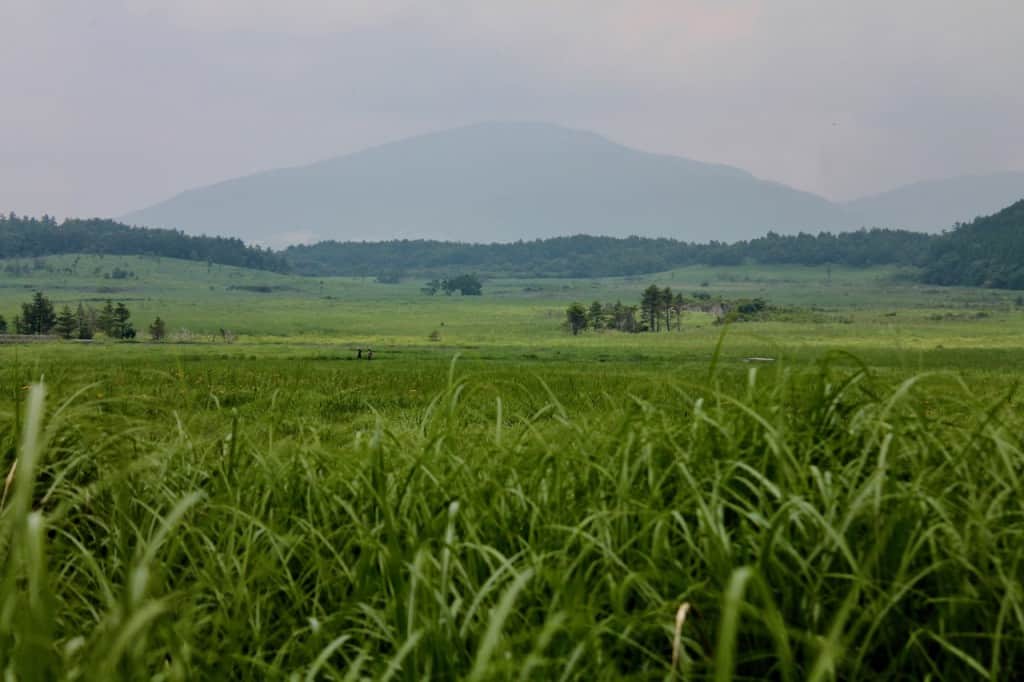 Tadehara marshland at Aso Kuju national park in Rita prefecture, Kyushu, Japan