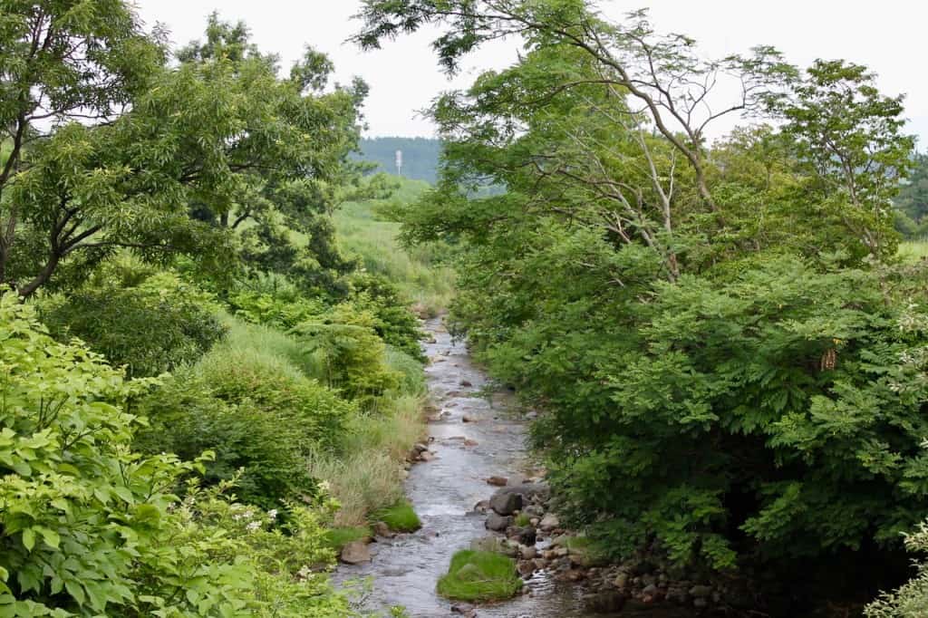 Tadehara marshland at Aso Kuju national park in Rita prefecture, Kyushu, Japan