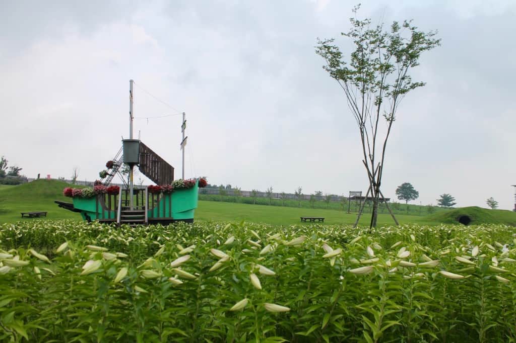 Aso Kuju national park in Rita prefecture, Kyushu, Japan.